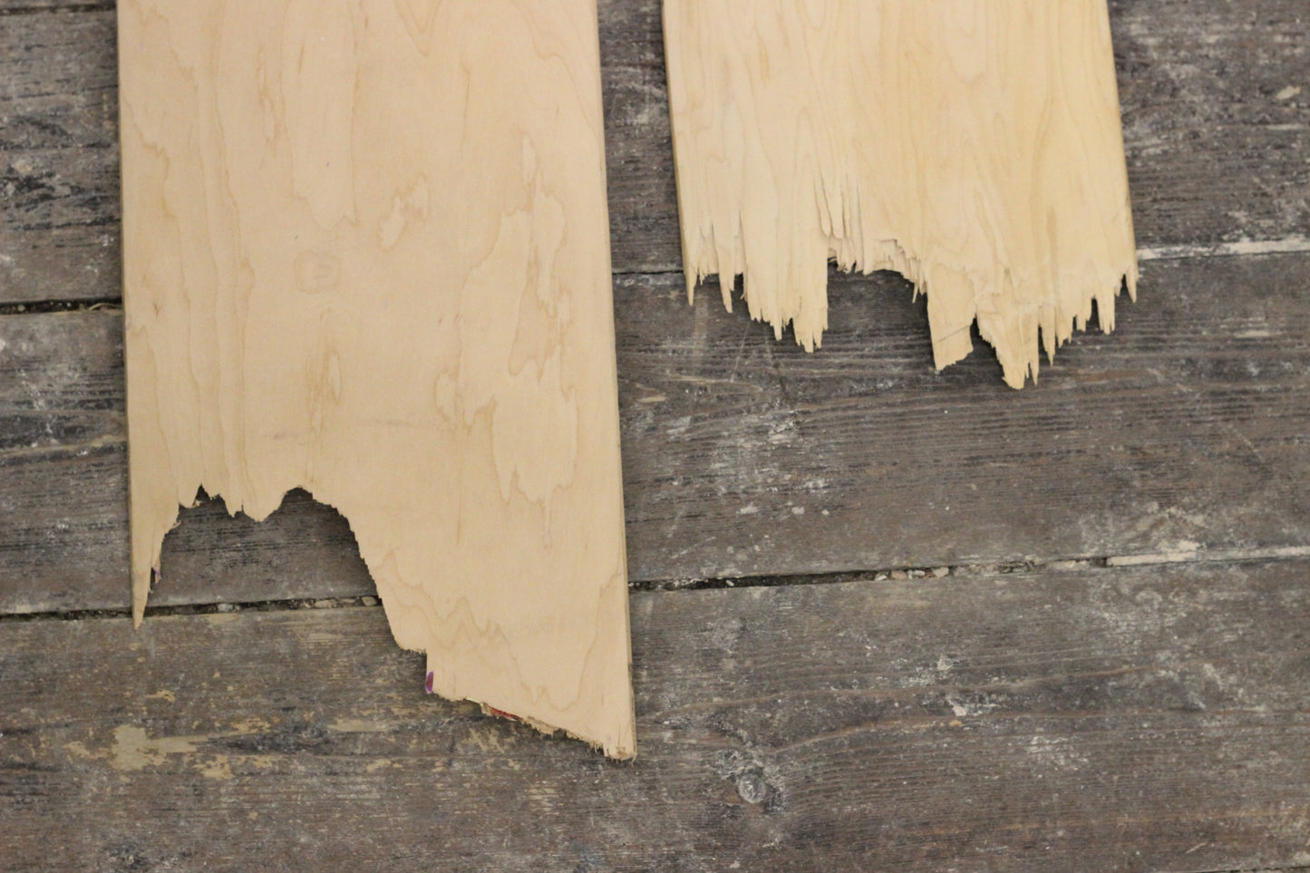 re:ply Blanks: CANVAS (For Art) SNAPPED